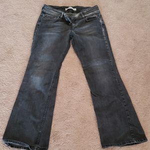 Distressed Express Jeans